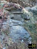 Burgberg in Elsterberg, Vogtland, Sachsen, (D) (19) 20. Februar 2012 (Burgleithe-Formation, Karbon - Kalkknotenschiefer, Oberdevon).JPG